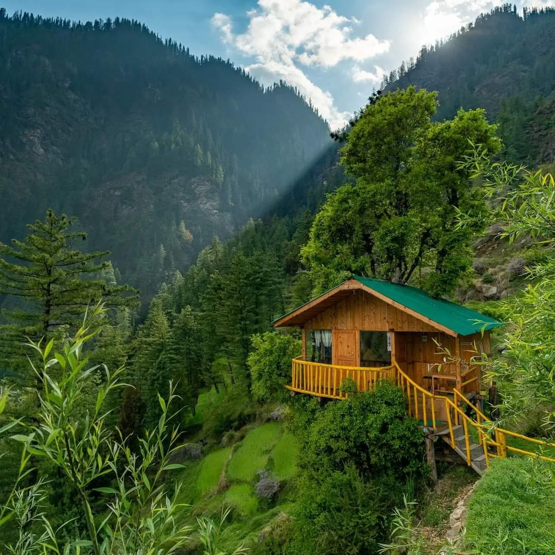 THYAdventure's tweet photo. Tree house jibhi 
 Himachal Pradesh https://t.co/MYtGGXSu5f