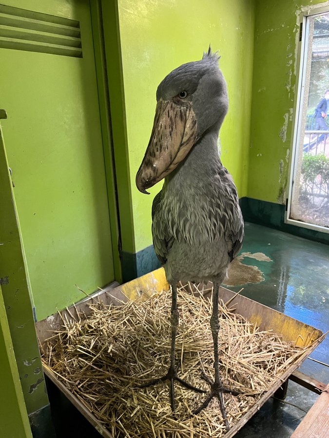 千葉市 千葉市動物公園