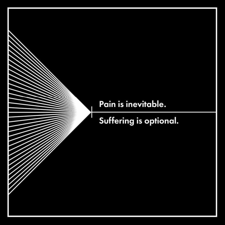 avi1298's tweet image. Pain is what happens to us, suffering is what we do with that pain . #Whatneeext?