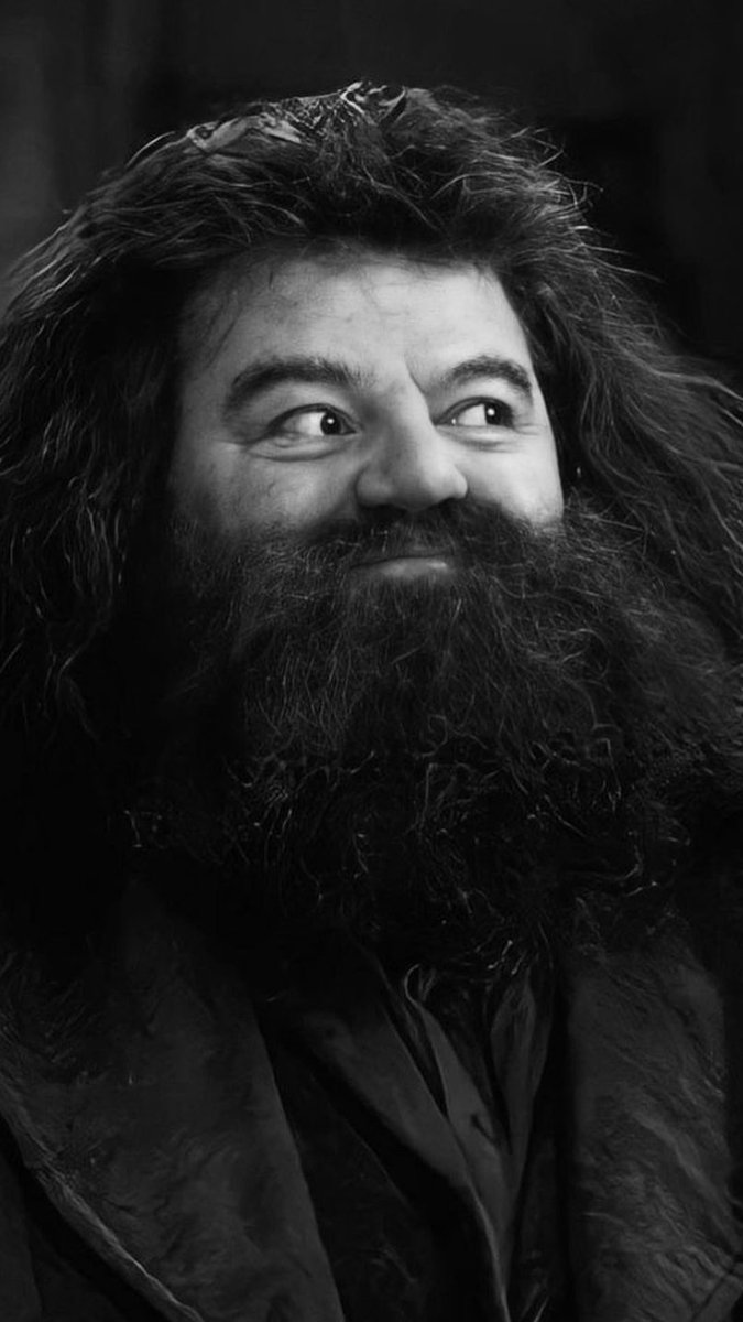 who_devbhavsar's tweet photo. you owned our respect 🫡 , hogwarts won’t be the same without you hagrid ❤️, thank you for making our childhood magical. you’re not here, but hagrid will ! you were a part of our childhood, we’ll miss you big guy.may your sould rest in peace in heaven.#HarryPotter #hagridforever https://t.co/L7OPYiPzmx