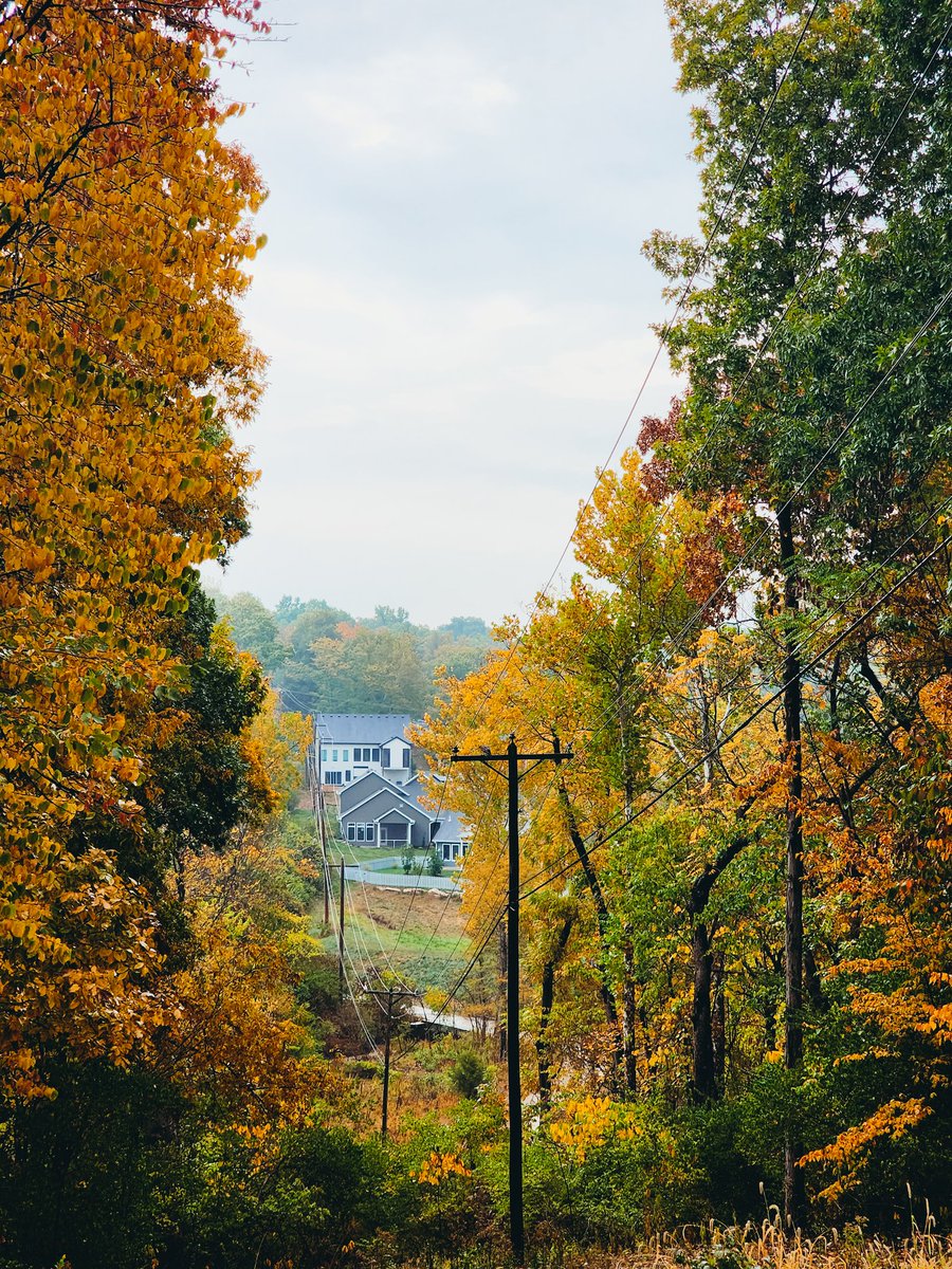 b_cunningham6's tweet photo. 🍁🍃🍂 https://t.co/okiFNYwsA6