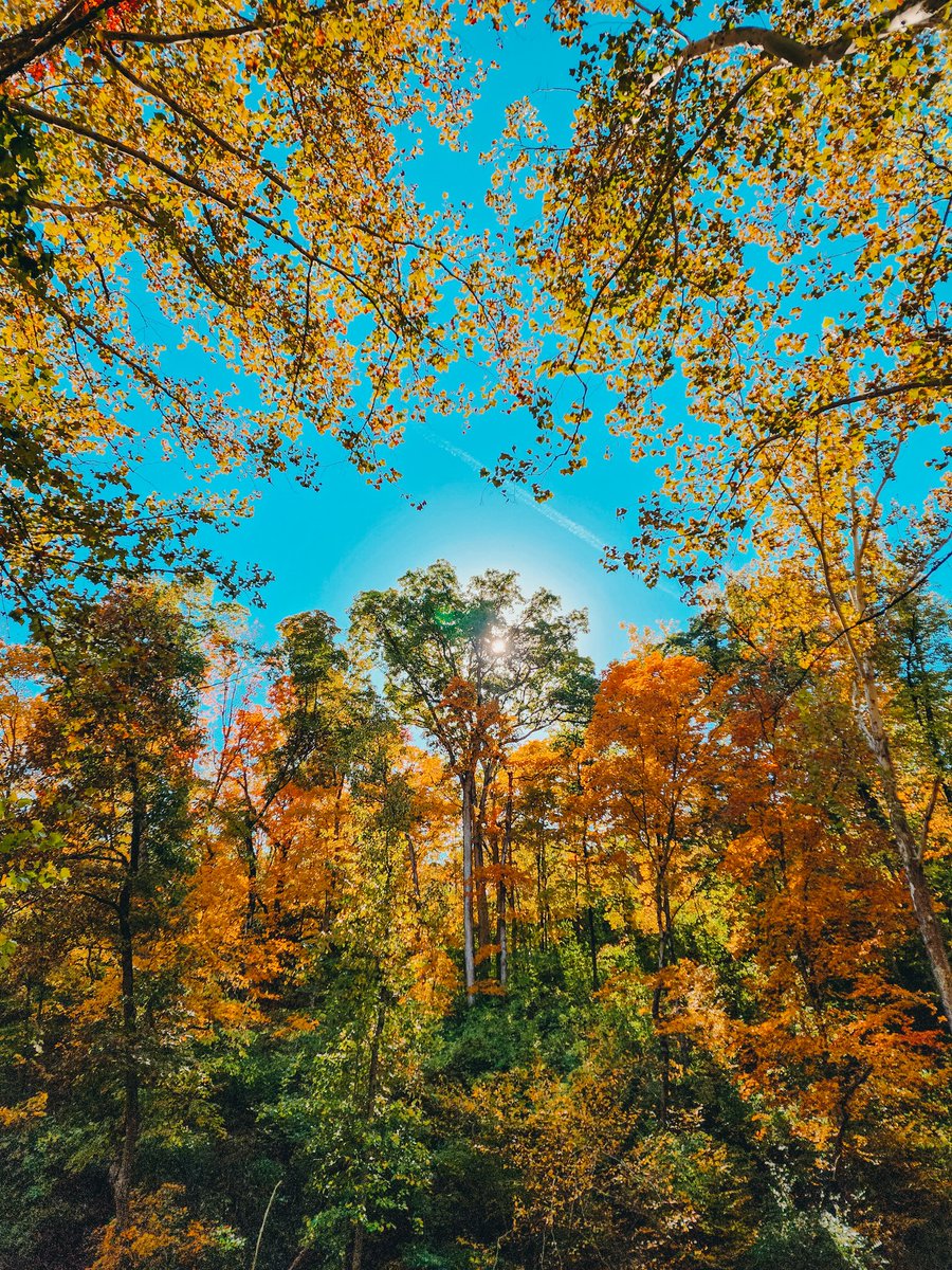 b_cunningham6's tweet photo. 🍁🍃🍂 https://t.co/okiFNYwsA6