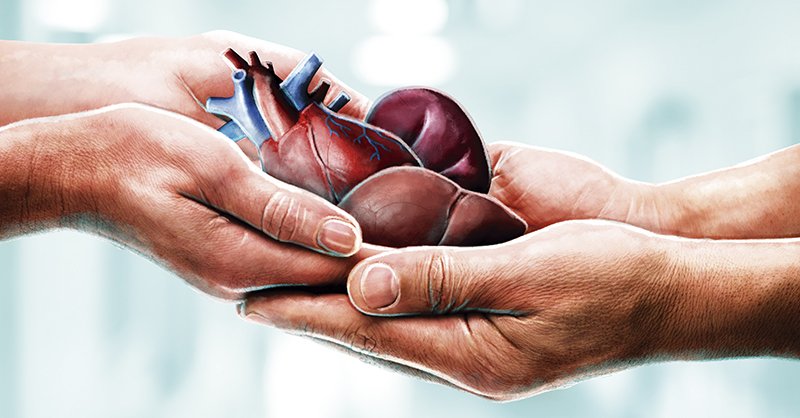 ambumilvalencia's tweet photo. Cada #14deOct celebramos el Día Mundial de la Donación de Órganos, Tejidos y Trasplantes, que tiene como propósito incentivar a todas las personas del mundo. La donación de órganos toma órganos y tejidos sanos de una persona para trasplantarlos en otras. https://t.co/6W5rC58Xkn