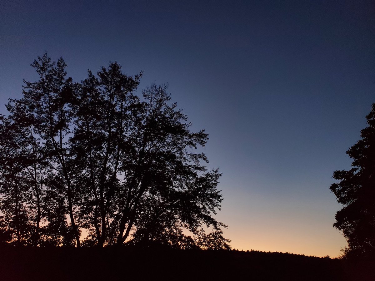 DunhamsBay's tweet photo. A beautiful end to a beautiful fall day in Lake George today.

#sunset #fall #nylovesfall #iloveny #ispyny #roamtheempire #upstateny #upstatenewyork #adk #adirondacks #adklife #warrencounty #warrencountyny #lakegeorge #lakegeorge365 #lakelife #mylgarea https://t.co/rI8Z9OleDI