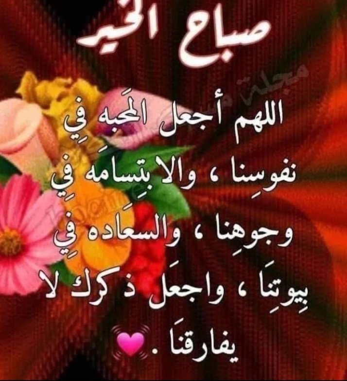 ابو نورس العراقي (@07708016965a47) on Twitter photo 