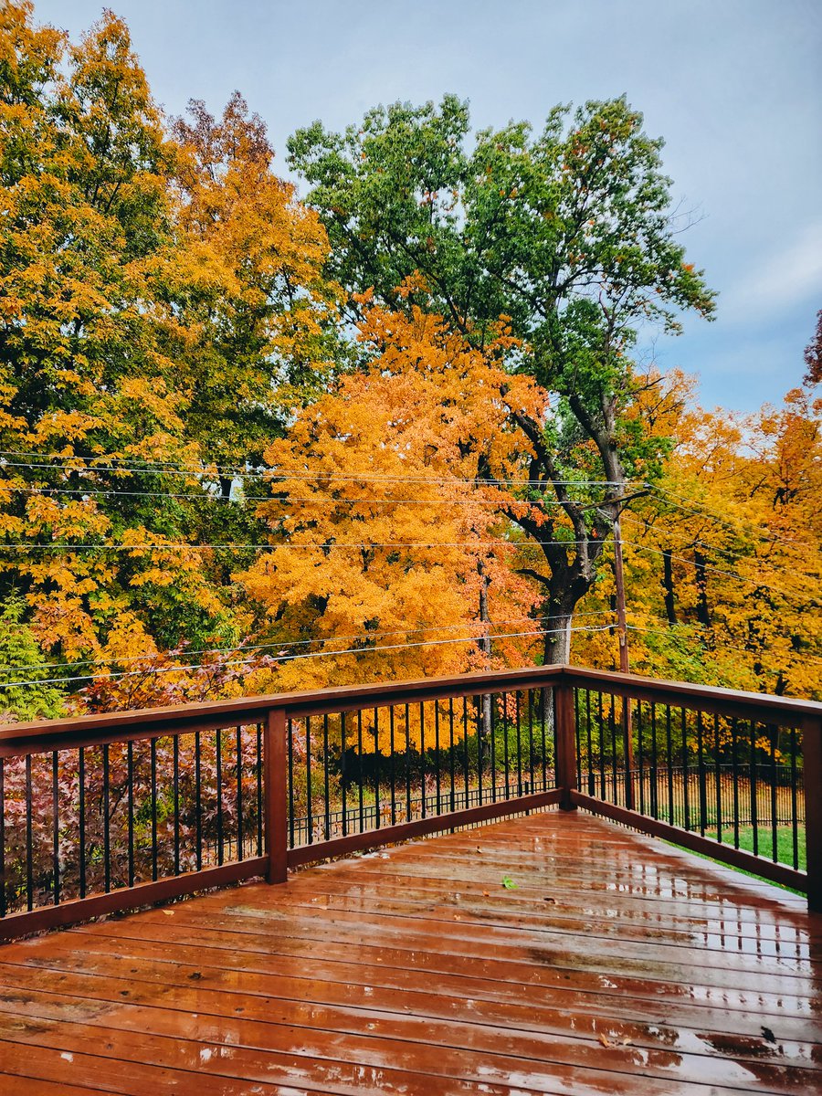 b_cunningham6's tweet photo. 🍁🍃🍂 https://t.co/okiFNYwsA6