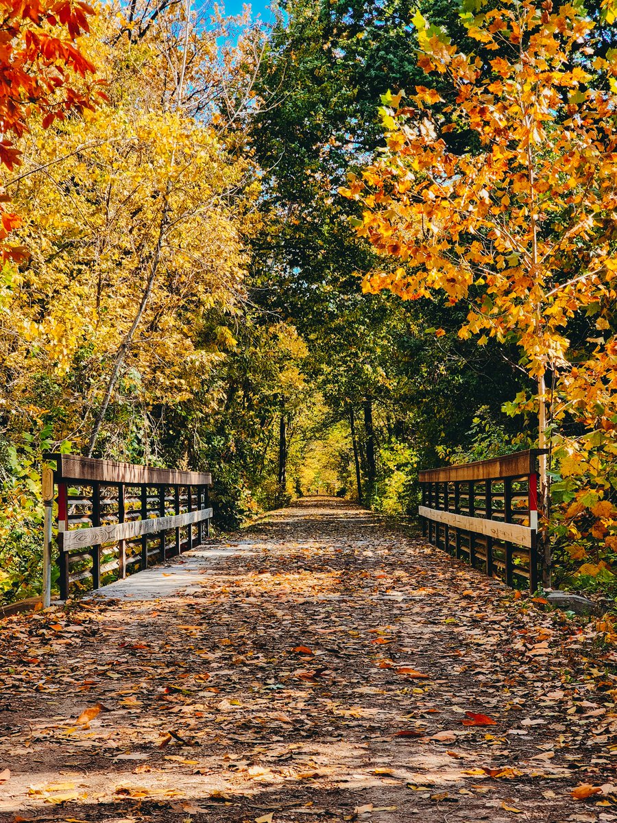 b_cunningham6's tweet photo. 🍁🍃🍂 https://t.co/okiFNYwsA6