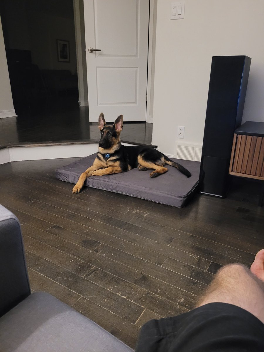 Just the boys hangin' tonight