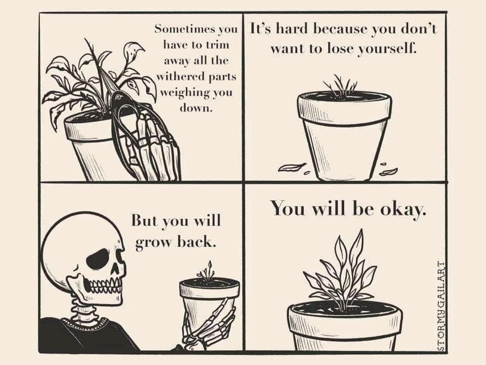 trim away what no longer serves you ❤️