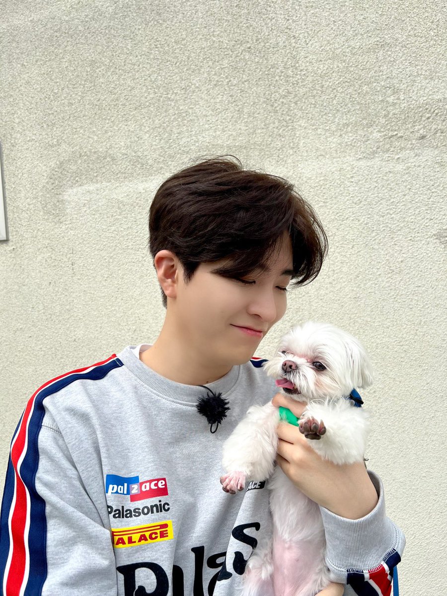 YOUNGJAExArs's tweet photo. [우리집 상전]

잠시 후 오후 12시 40분!
KBS WORLD에 귀여움을 202배 채워주는💚
영재와 코코 함께 만나요🐶

#영재 #YOUNGJAE
#우리집상전 https://t.co/OsDG5OmyY1