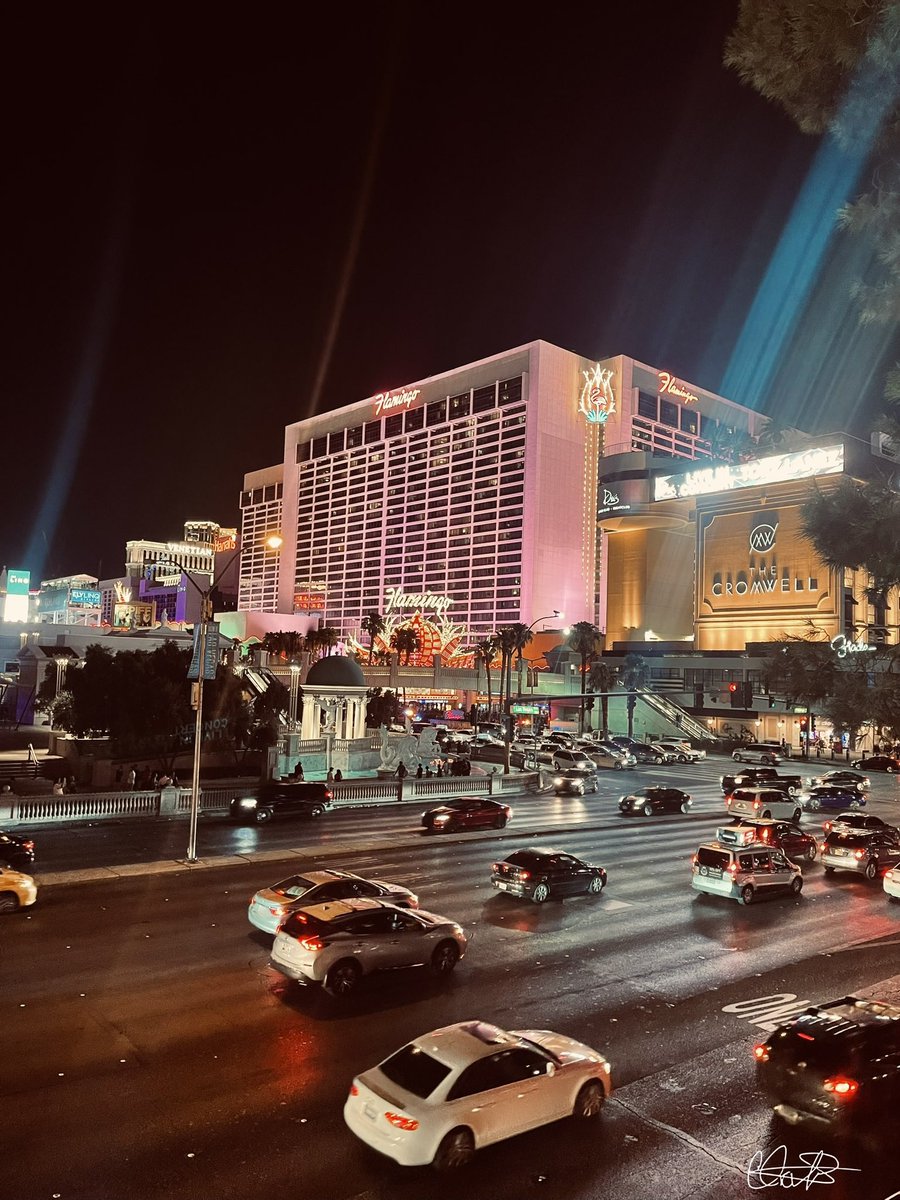 chereesecross's tweet photo. Las Vegas ✨ https://t.co/0o3sKVfafJ