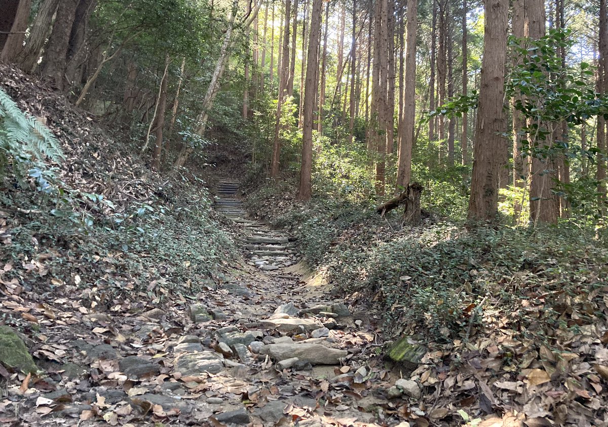 ken184cm's tweet photo. ・暑さもおさまりつつあるので、久しぶりに『桑谷山』に登る🗻

・展望台には珍しく、人集りが・・・

・バードウォッチングをしているようだ🦉

・下山後は「韓丼」に初訪問し、『温玉カルビ（¥720円）』をオーダー🗣

・肉の量も多くてイイ（←味付けはやや濃いめだね）🙆🏻

#登山
#山登り
#山歩き https://t.co/5ojv8DUap8