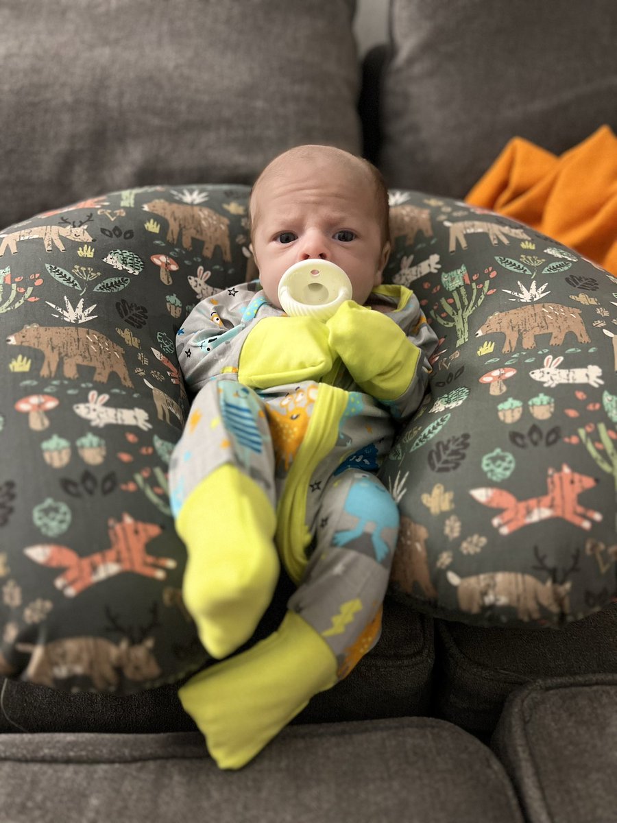 Home sweet home 💚