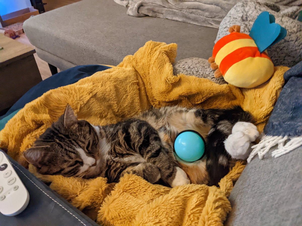 You won't believe me, but I actually enjoy belly rubs.