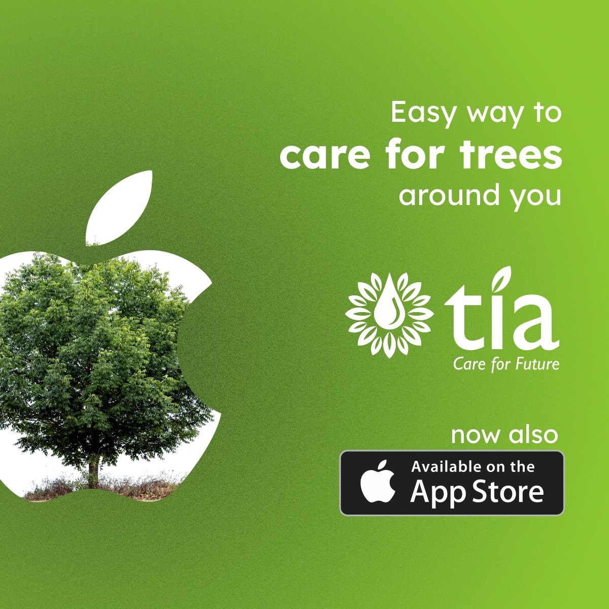 Vivek4tia's tweet photo. Make plant care easy and measurable with Tia App. With this App, you can Map (Geotag) Plants 🌱 &amp; Trees 🌳 around and update &amp; monitor their Health.

Our #TIAApp📱 is now live on App Store too!

Download App - https://t.co/1ggg6wgN3t
Feedback - Write us at plantcare.in@gmail.com https://t.co/bW0AEGjFqT