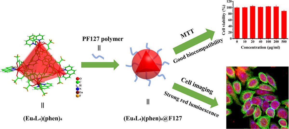 bhkenlo's tweet photo. Highly Stable Europium(III) Tetrahedral (Eu4L4)(phen)4 Cage: Structure, Luminescence Properties, and Cellular Imaging https://t.co/m85zwDohE2 Li and co-workers @InorgChem #europium #tetrahedral #cage #self_assembly #Pluronic_127 #cellular_uptake #imaging #LOPs https://t.co/57B5PIugfk
