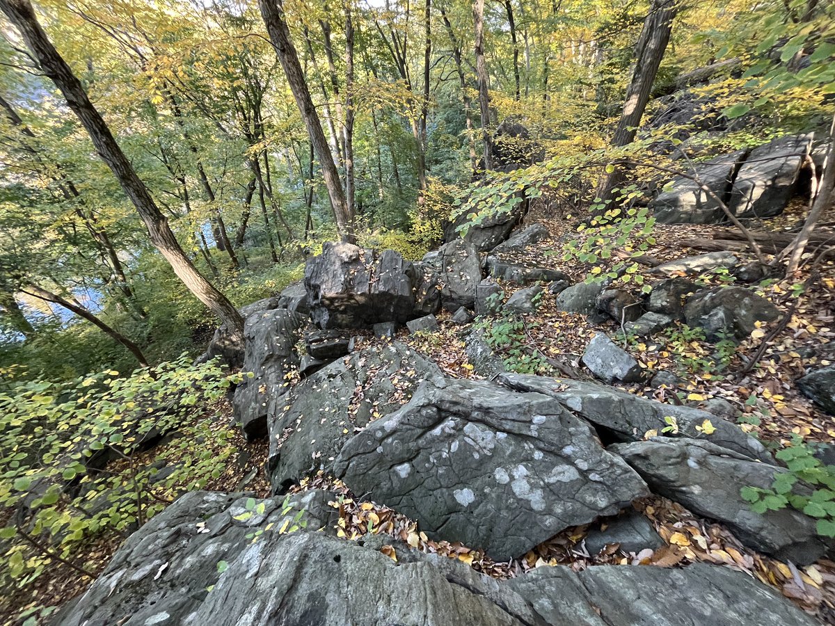 nacler917's tweet photo. the only thing holding me together is this big rock amongst other slightly smaller rocks—king https://t.co/1D8cRcfA0e