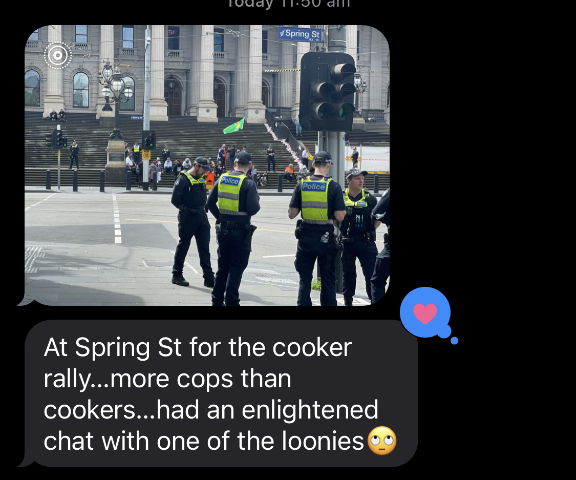 theluckylance's tweet photo. More Cops than #Cookers. 

One of Lucky Lance's operatives is in the #notaprotest crowd and has filled his #Intel report - looks like huge numbers.

Keep up the good work guys! https://t.co/1OJpalAy13