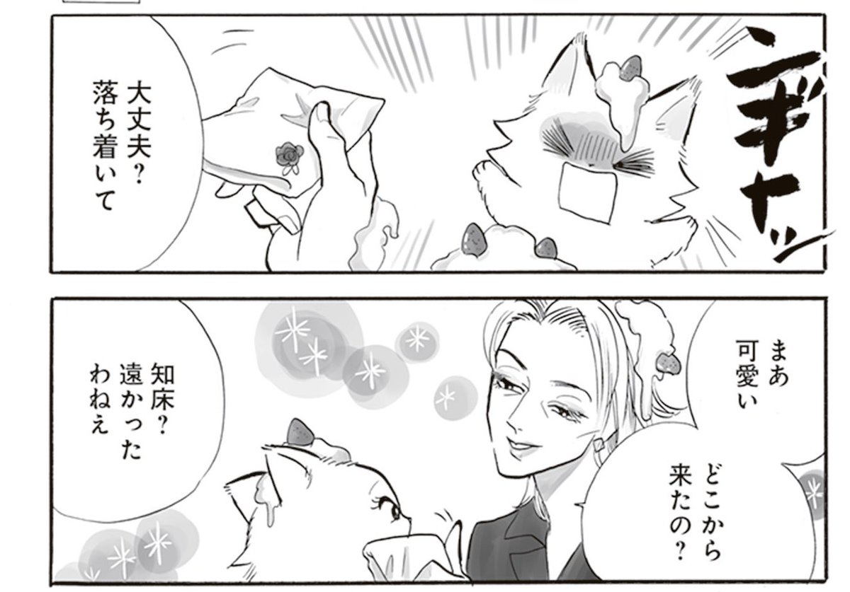 単行本では、2人のその後の書き下ろしが読めます!
トラと陽子、単行本発売中🐱
Amazon
https://t.co/WzmDjDpjBJ
楽天
https://t.co/AgwJFJ4CxZ
honto
https://t.co/2WRuCweXMe
ebook
https://t.co/evrOHZOWcH