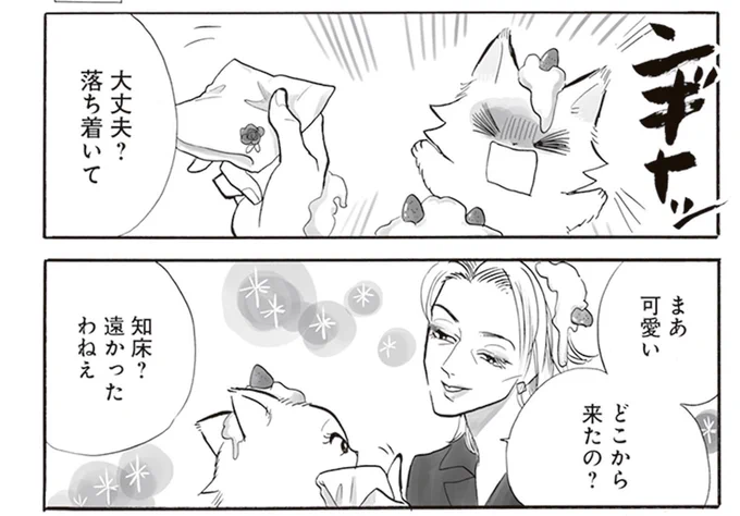 単行本では、2人のその後の書き下ろしが読めます!

トラと陽子、単行本発売中🐱
Amazon
https://t.co/WzmDjDpjBJ

楽天
https://t.co/AgwJFJ4CxZ

honto
https://t.co/2WRuCweXMe

ebook
https://t.co/evrOHZOWcH 