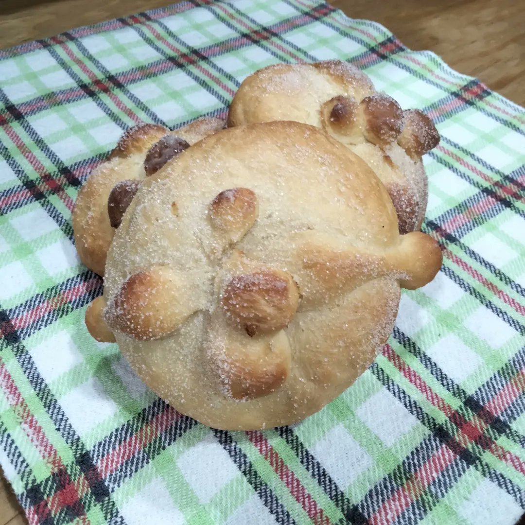 oki_miu's tweet photo. Oki delicioso pan de muerto, el sabor no está peleado con la textura 😋
#OKiMiu🐝
#OkiPanDeMuerto
#PanDeMuerto
#PanDeMuertoSaborMantequilla
#PanDeMuertoSaborVainilla
#DeliciosoPanDeMuerto
#VivanLasTradicionesMexicanas
#PanDeMiertoMexicano https://t.co/jT1qtuCmiW