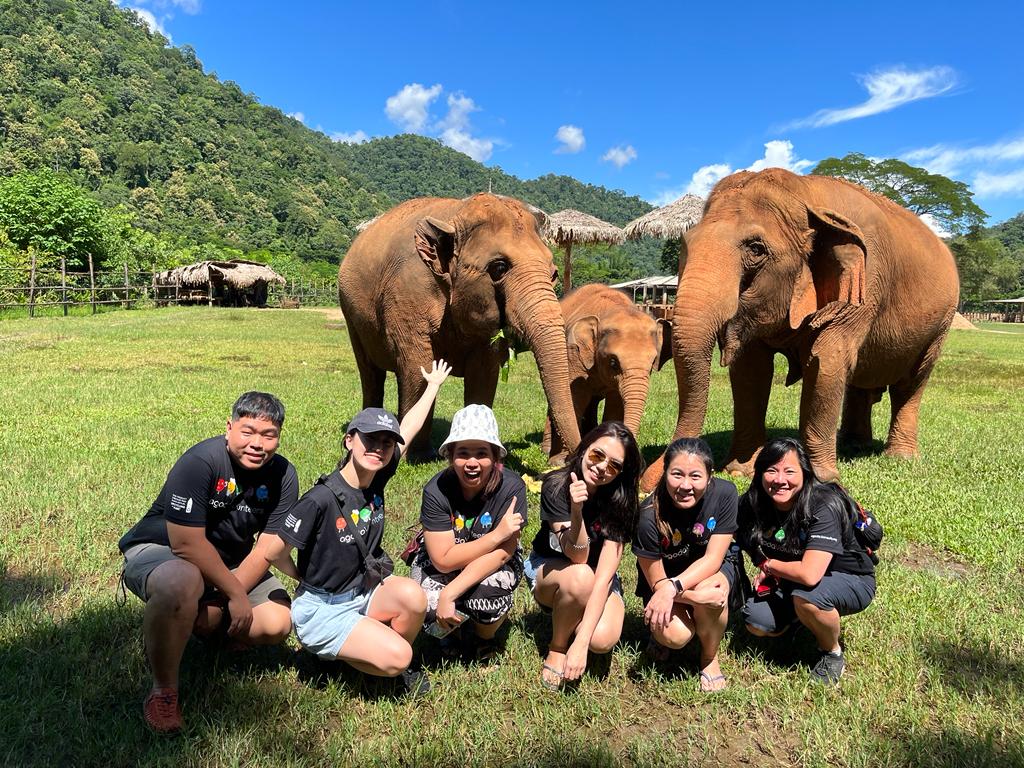 lifeatagoda's tweet photo. Another fun way Agodans give back!

A group of our Finance team members spent their Agoda Global Days Off at Elephant Nature Park, an elephant sanctuary in Chiang Mai, walking handicapped dogs and preparing an Agoda-themed tea cake for the elephants to enjoy.

#lifeatagoda https://t.co/jYUkve6q4U