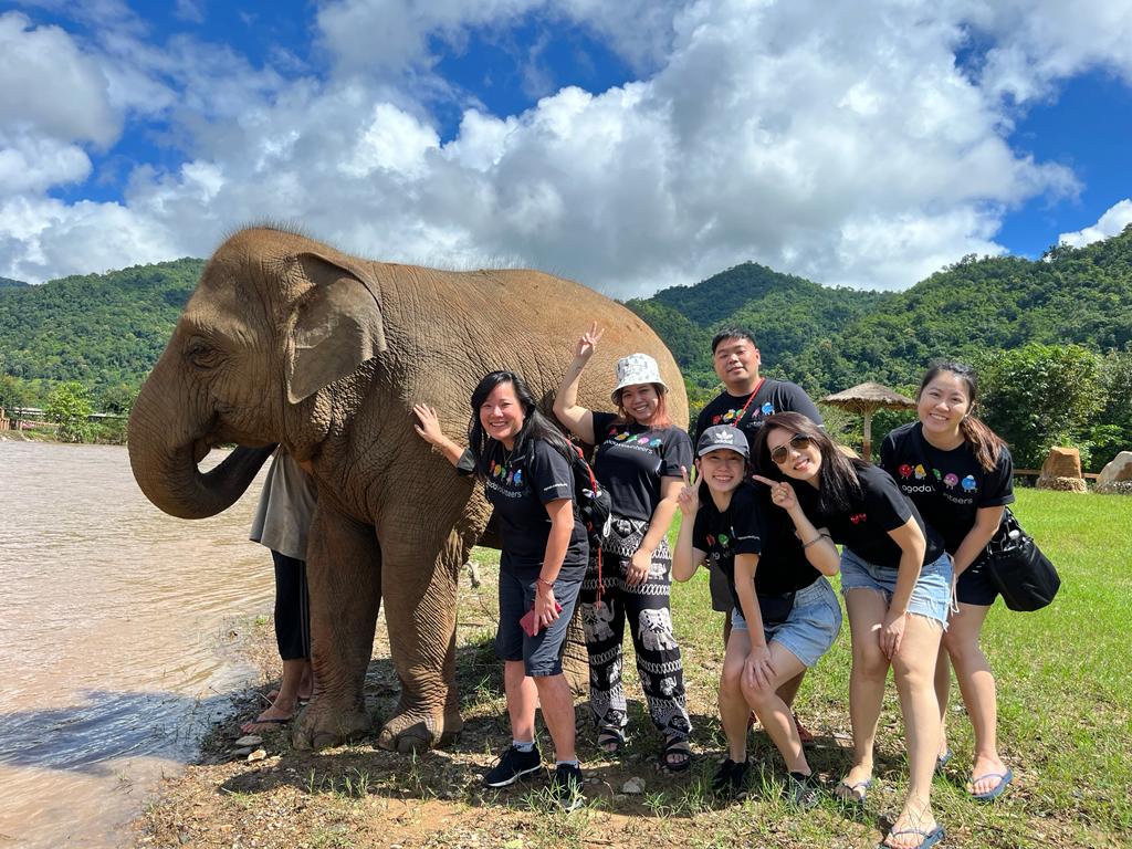 lifeatagoda's tweet photo. Another fun way Agodans give back!

A group of our Finance team members spent their Agoda Global Days Off at Elephant Nature Park, an elephant sanctuary in Chiang Mai, walking handicapped dogs and preparing an Agoda-themed tea cake for the elephants to enjoy.

#lifeatagoda https://t.co/jYUkve6q4U