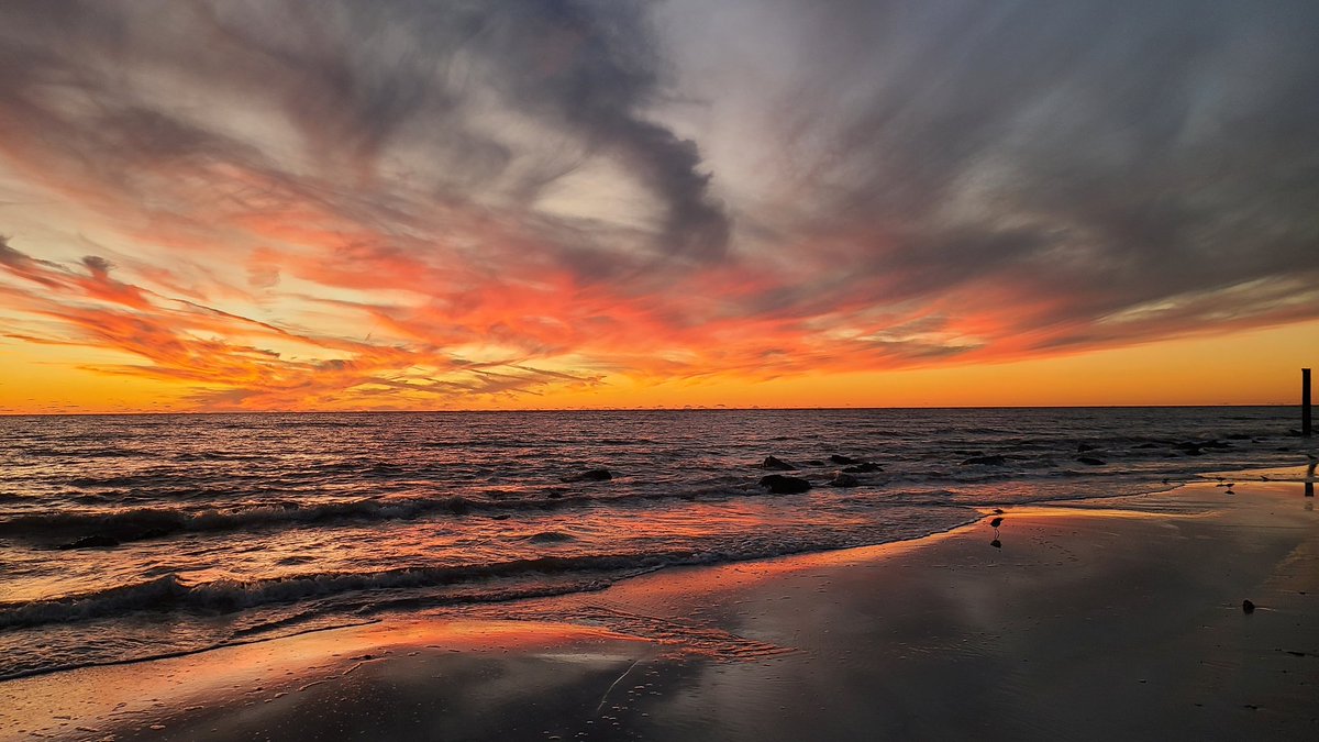 A few days after Hurricane Ian hit a couple of hours south of us!