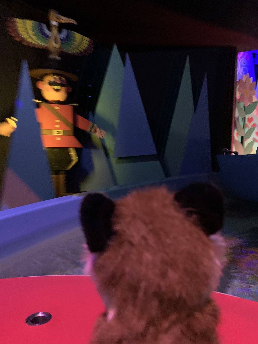 DHSTMah's tweet photo. Kit enjoyed her time away! Disneyland and Universal Studios was a lot of fun!  Everything comes to an end🙁. #kitsamazingadventures https://t.co/NAYqrVY0HJ