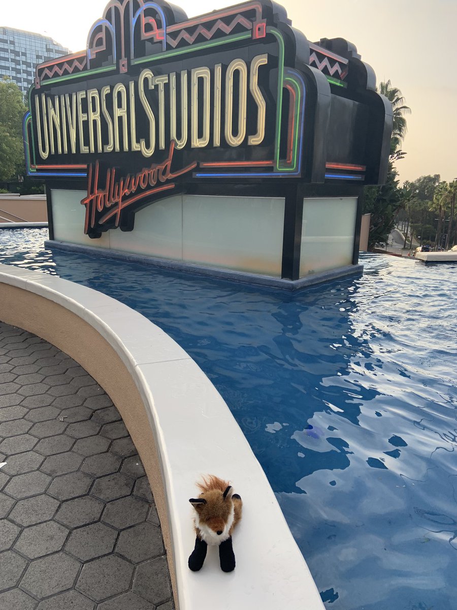 Kit enjoyed her time away! Disneyland and Universal Studios was a lot of fun!  Everything comes to an end🙁. #kitsamazingadventures