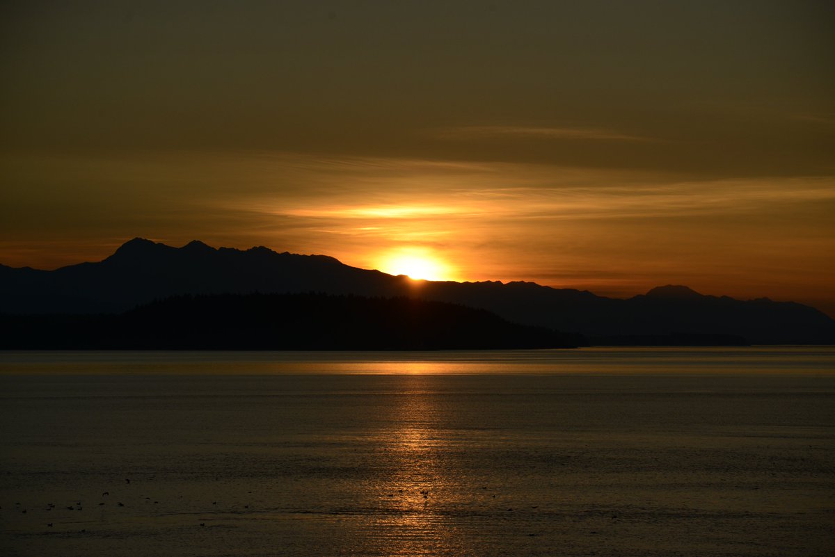 MysticCindi's tweet photo. #sunset #whidbeyisland #FtCasey #sunsets #sunsetphotography https://t.co/QaMuo1Co1x