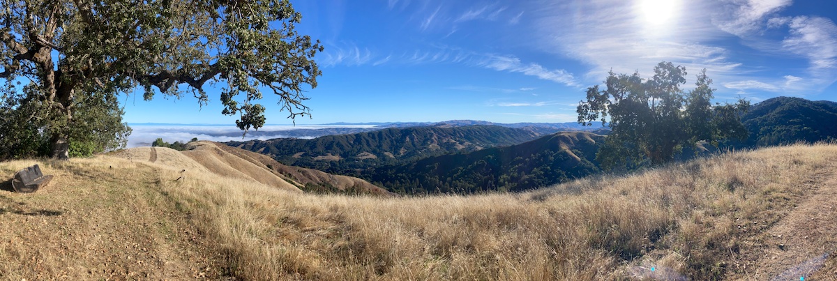 Big Sur Land Trust (@bigsurlandtrust) on Twitter photo Take some moments to take it all in.
#FindYourWonder #BSLT #BigSurLandTrust #Conservation #MontereyCounty #PublicAccess #GetOutside #HealthyLands #HealthyPeople #HealthyCommunities Take some moments to take it all in.
#FindYourWonder #BSLT #BigSurLandTrust #Conservation #MontereyCounty #PublicAccess #GetOutside #HealthyLands #HealthyPeople #HealthyCommunities