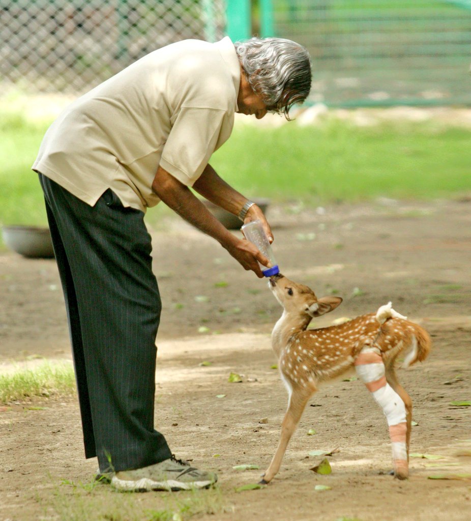 AnkitKumar_IFS's tweet photo. Dr A.P.J. Abdul Kalam feeding an injured fawn at Rashtrapati Bhavan.

Dr. Kalam's journey, his thoughts, his scientific temper and his compassion towards nature &amp; Wildlife continue to be the beacon of inspiration for all.

A humble tribute to Dr. Kalam on his  birth anniversary. https://t.co/WsczsroRP4