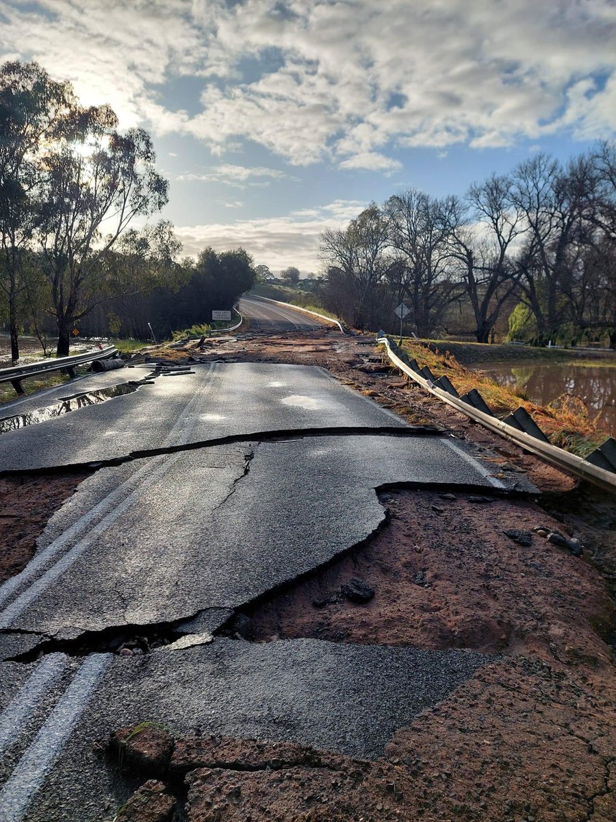 queen of cups tweet media