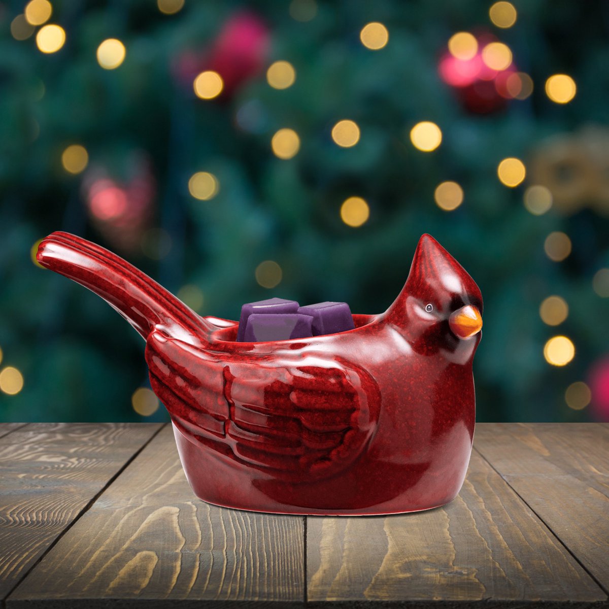 iheartgu's tweet photo. A classic sign of winter, the lovely and graceful red Cardinal will bring cheer to your home throughout the holiday season and beyond. You'll want to display this one-piece Element Warmer long after the last snow!

➡️ https://t.co/Ly9lHcbFUE https://t.co/KckSPCff7b
