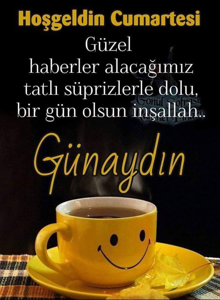 Serkan B tweet media