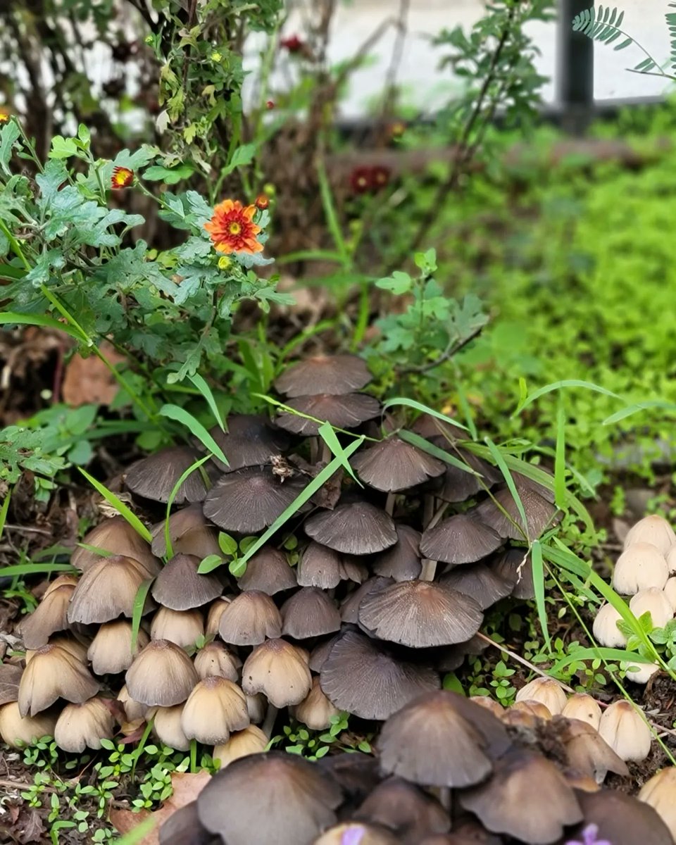 Kate Spivak tweet media