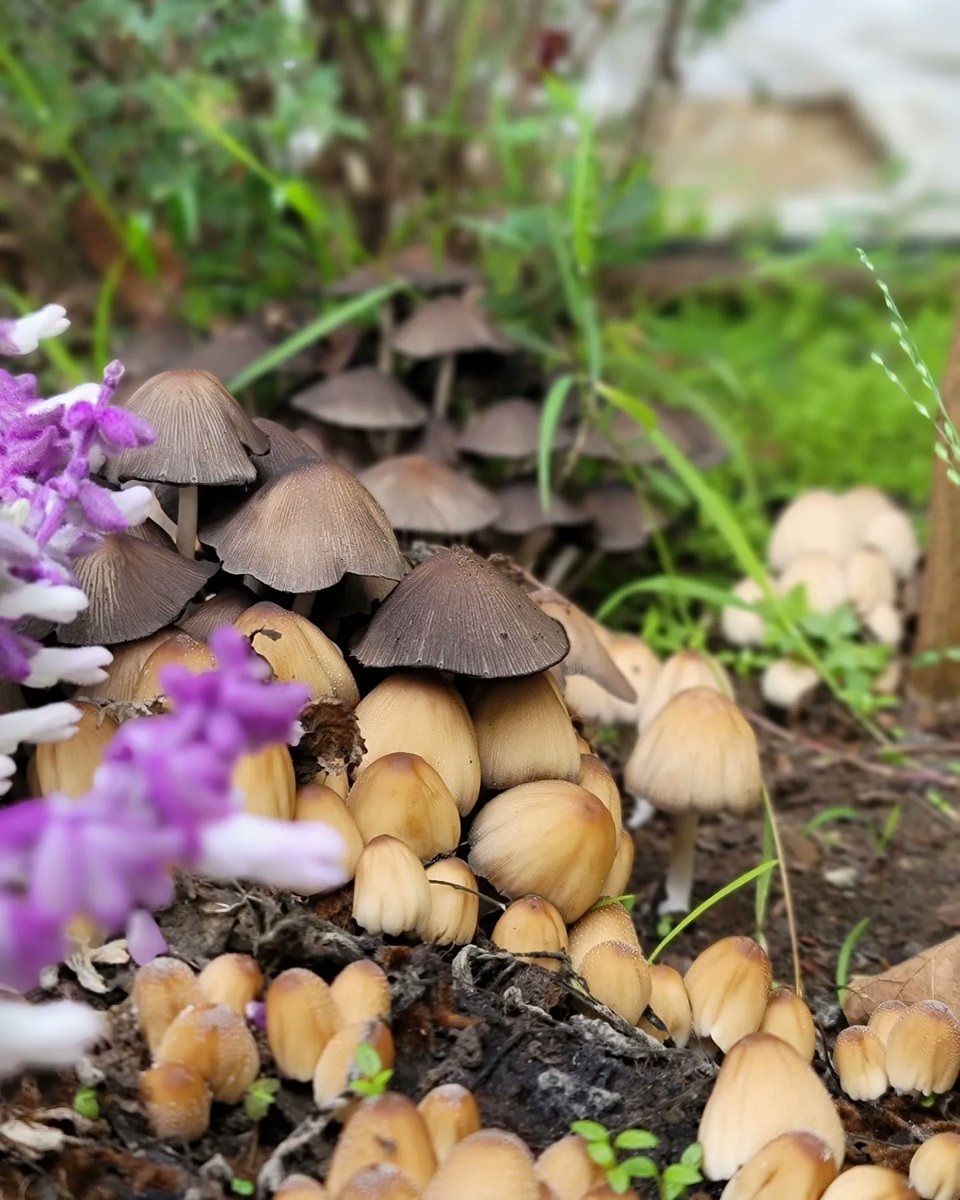 Kate Spivak tweet media