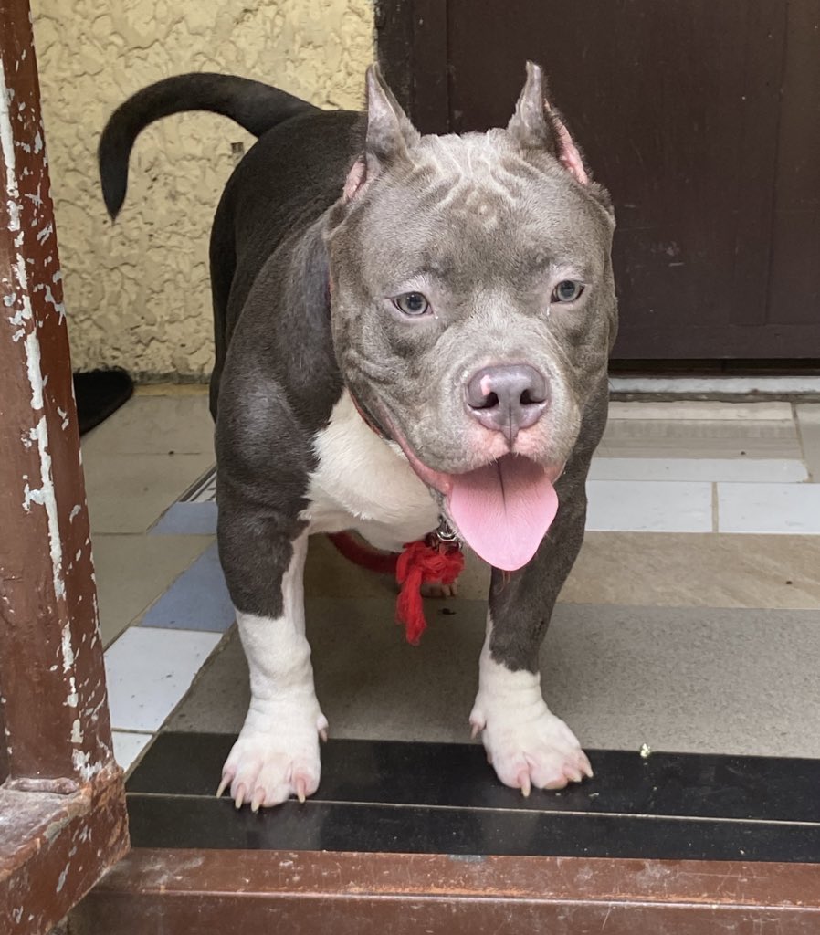 My NFT ! Kidding aside can somebody teach me how to earn here