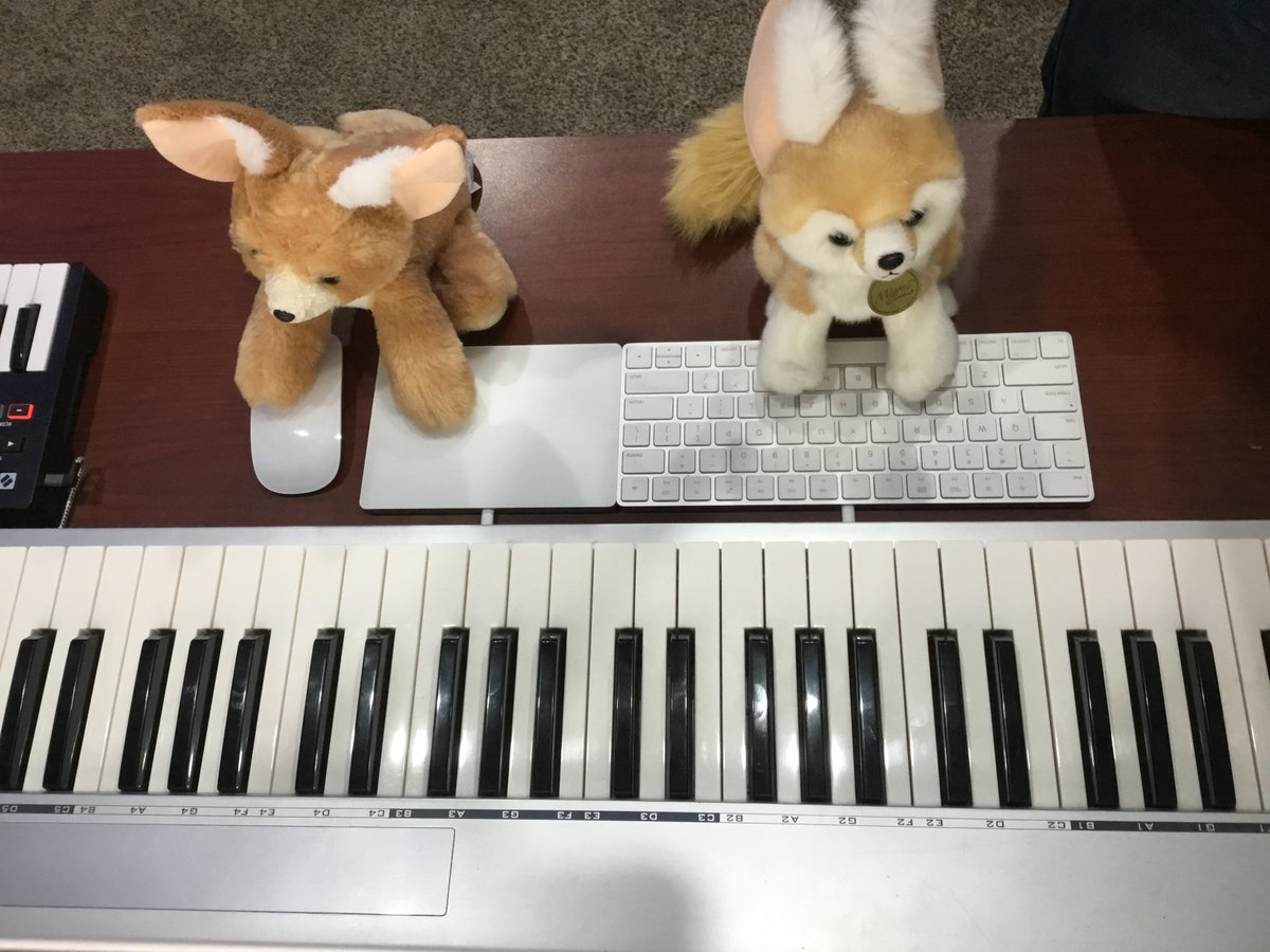 FennecFoxMedia's tweet photo. These Fennec Foxes are 👏 hard 👏 at 👏 work! https://t.co/yIT3cJgFaO