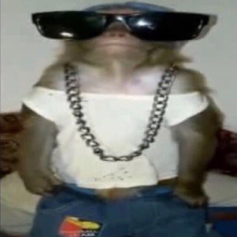 spookygramma's tweet photo. i have depression but in a monkey way https://t.co/O7EKiTBxwO