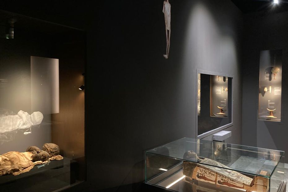 F3Occitanie's tweet photo. Exposition muséum de Toulouse : les momies, des corps préservés et éternels https://t.co/tI556QvUeN https://t.co/xroOvwHiXQ