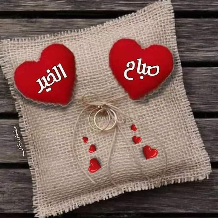 " ﻛﻢ ﻣﻦ "ﺻﺪﺍﻗﺔ" ﻛﺎﻧﺖ ﺗﻌﻨﻲ "ﻋﺸﻘﺎً " ﻭﻟﻢ ﻳﺪﺭﻛﻮﺍ !
ﻭﻛﻢ ﻣﻦ "ﻛﻴﻒ ﺣﺎﻟﻚ" ﻛﺎﻧﺖ ﺗﻌﻨﻲ" ﺍﺷﺘﻘﺖ إليك " ﻭﻟﻢ ﻳﻔﻬﻤﻮﺍ ! " 

#اصدقائي
#صباح_الخير
