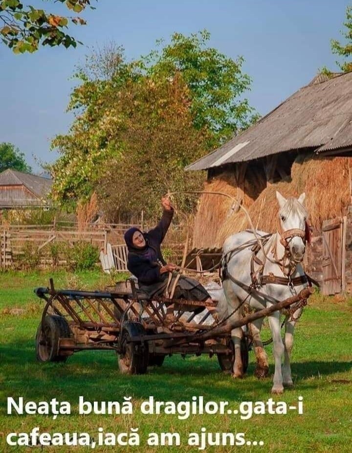 GGabipac's tweet image. Bună dimineața sa avem....fug și eu la cafea ca rămân fără 😂😂☕🍫