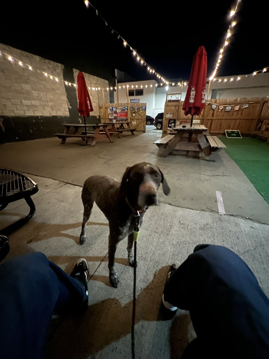 notebook boy tweet media