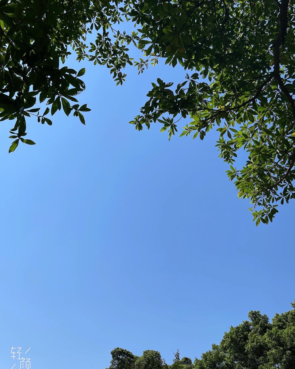Jeremyji01's tweet photo. Sunny day https://t.co/ZtLNDsOQDD