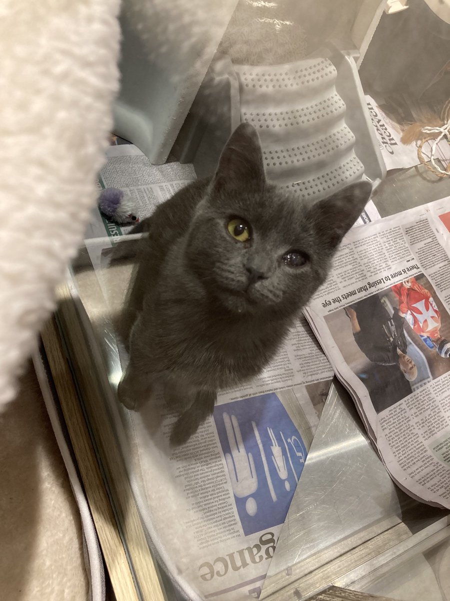 Nikki Gemmell tweet media