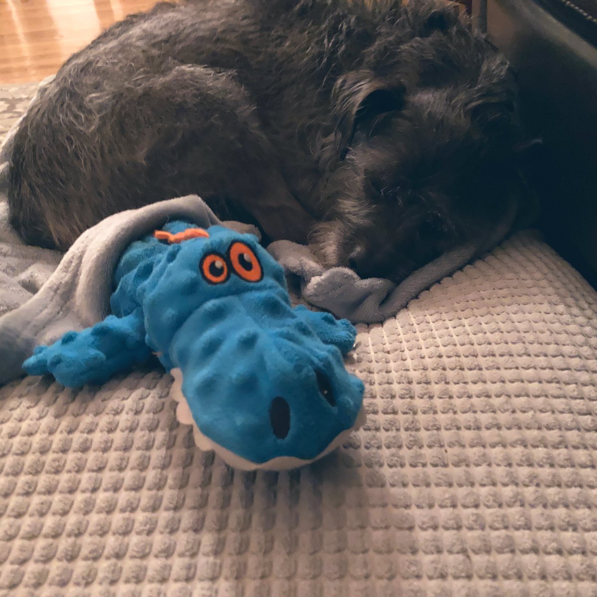 Jess Sand tweet media