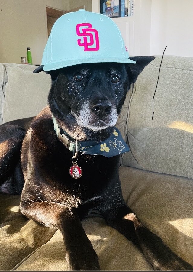 whiteygleason's tweet photo. I think ⁦@GleasonLani⁩ ‘s dog Enzo brought the Padres good luck tonight. https://t.co/vsn3SwWJgl