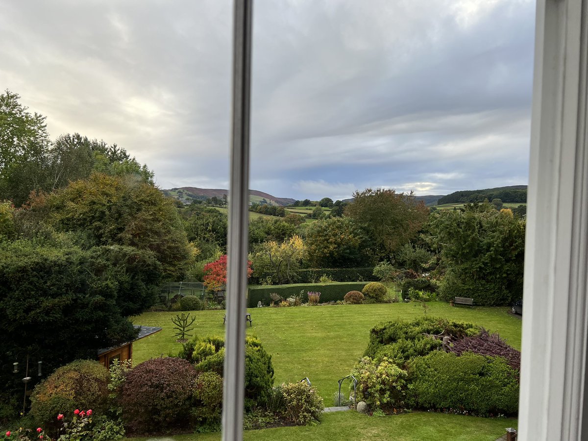 Phil Hollingsworth tweet media